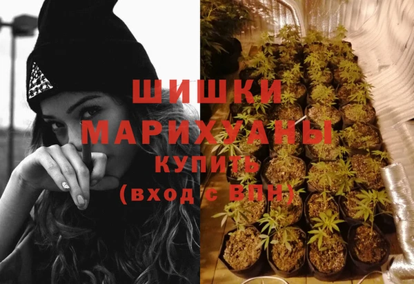 сатива Баксан