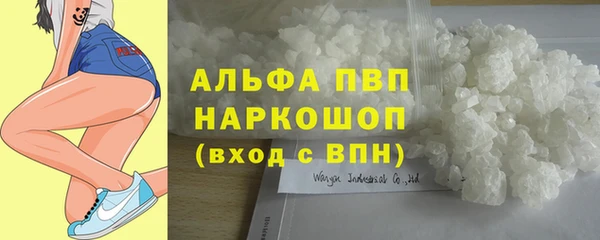 сатива Баксан