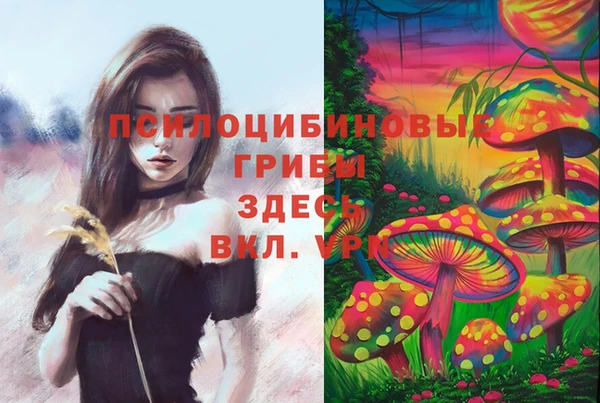 сатива Баксан